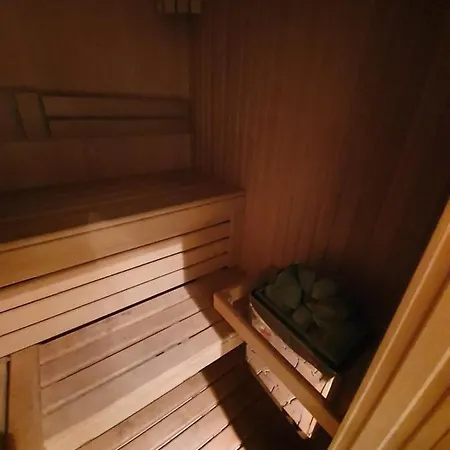 Vip Rozochka Apartment *